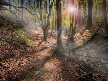 Mystische Landschaft