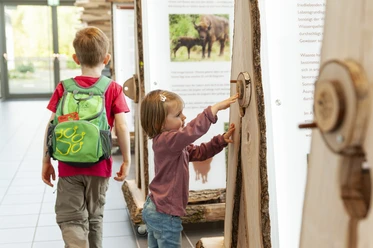 Naturpark Infozentrum Bad Berleburg
