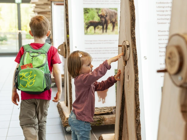 Naturpark Infozentrum Bad Berleburg