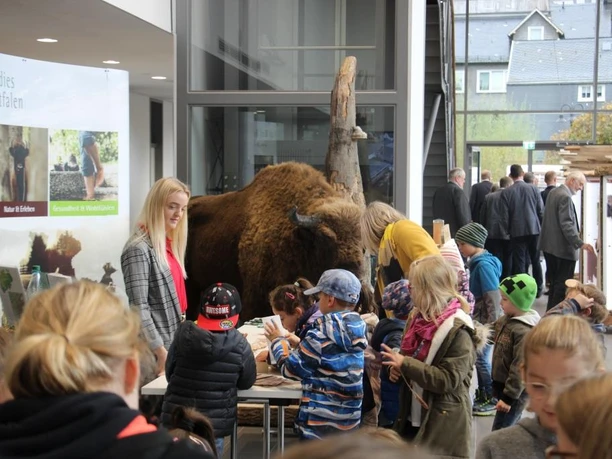 Kinder entdecken die Wisent-Erlebnis-Ausstellung