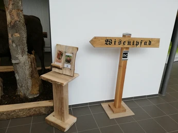 in der Ausstellung