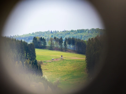 Augenstein Wisentpfad