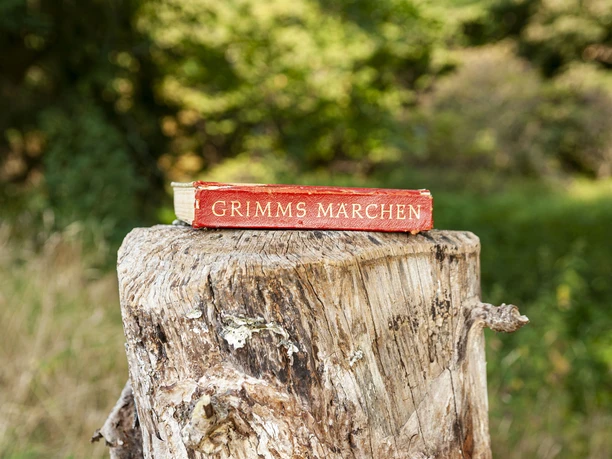 Märchenspur, Grimms Märchen
