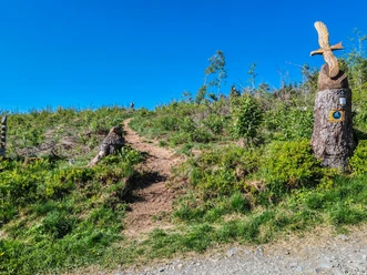 Eingang Holzskulpturenweg