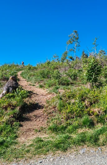 Eingang Holzskulpturenweg