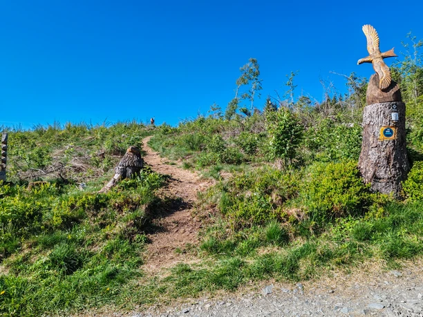 Eingang Holzskulpturenweg