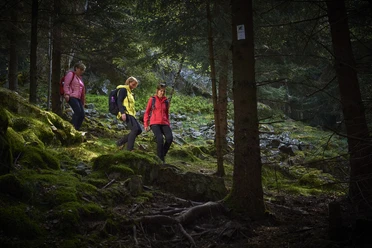 Premium-Wanderweg Via Celtica