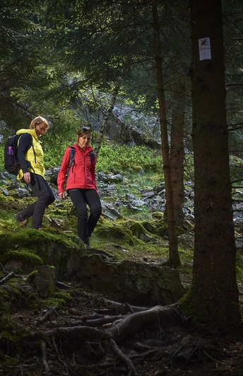 Premium-Wanderweg Via Celtica