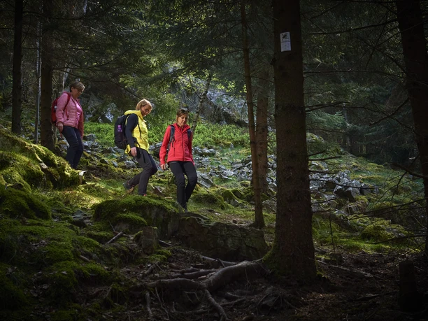 Premium-Wanderweg Via Celtica