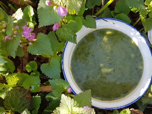 Taubnessel-Suppe im Schloss Hirschgarten