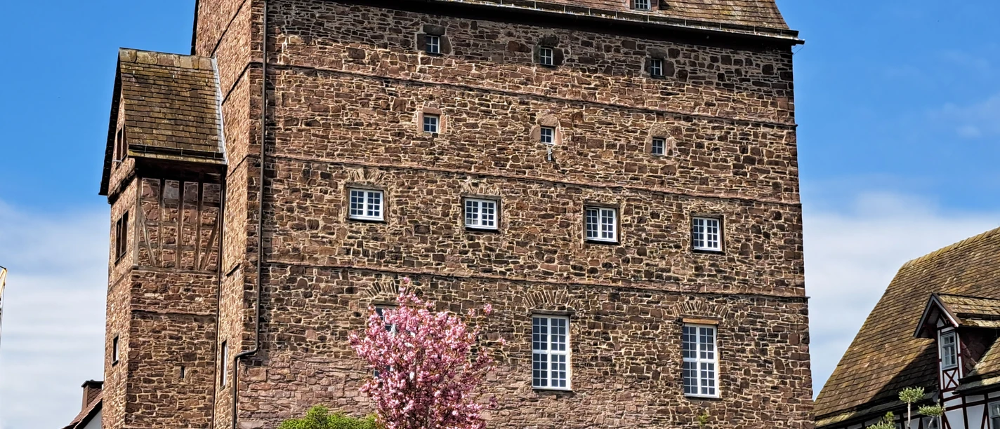 Burg Beverungen Große Burg aus rotem Sandstein mit vielen Fenstern, davor blühender Baum und Gartenstühle im Frühling.