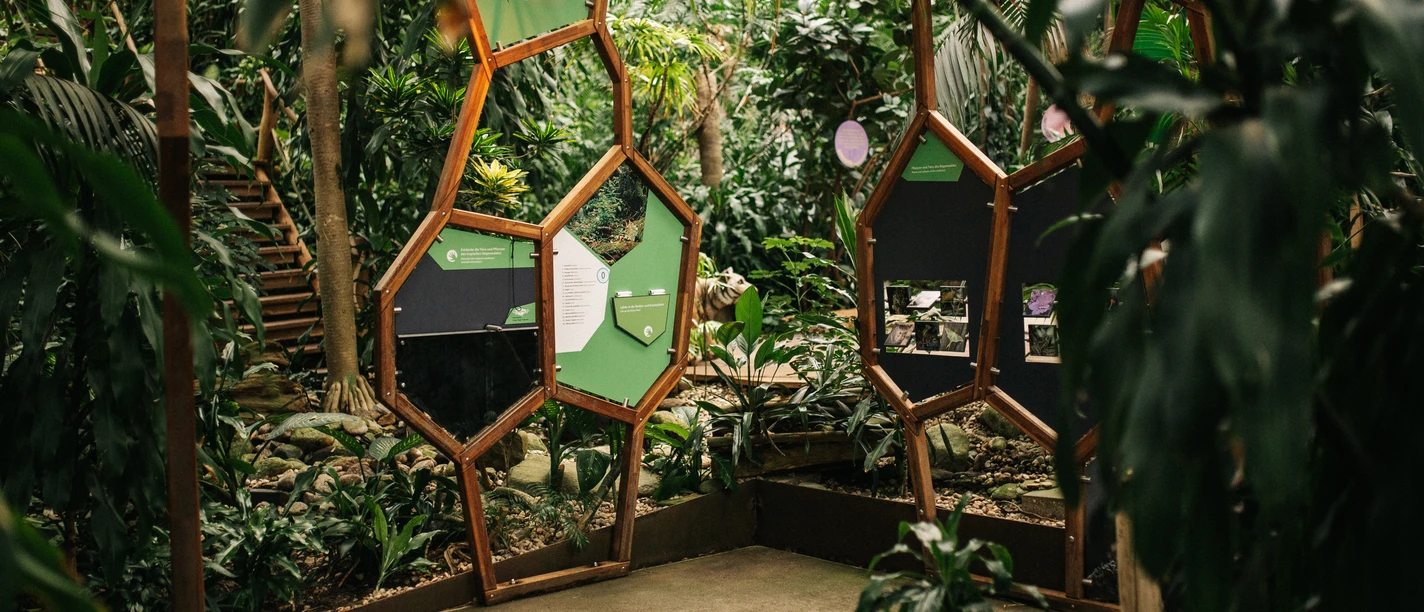 Biosphäre Potsdam Blick in die Tropenhalle der Biosphäre Potsdam mit Erklär-Tafeln und Mitmachstationen