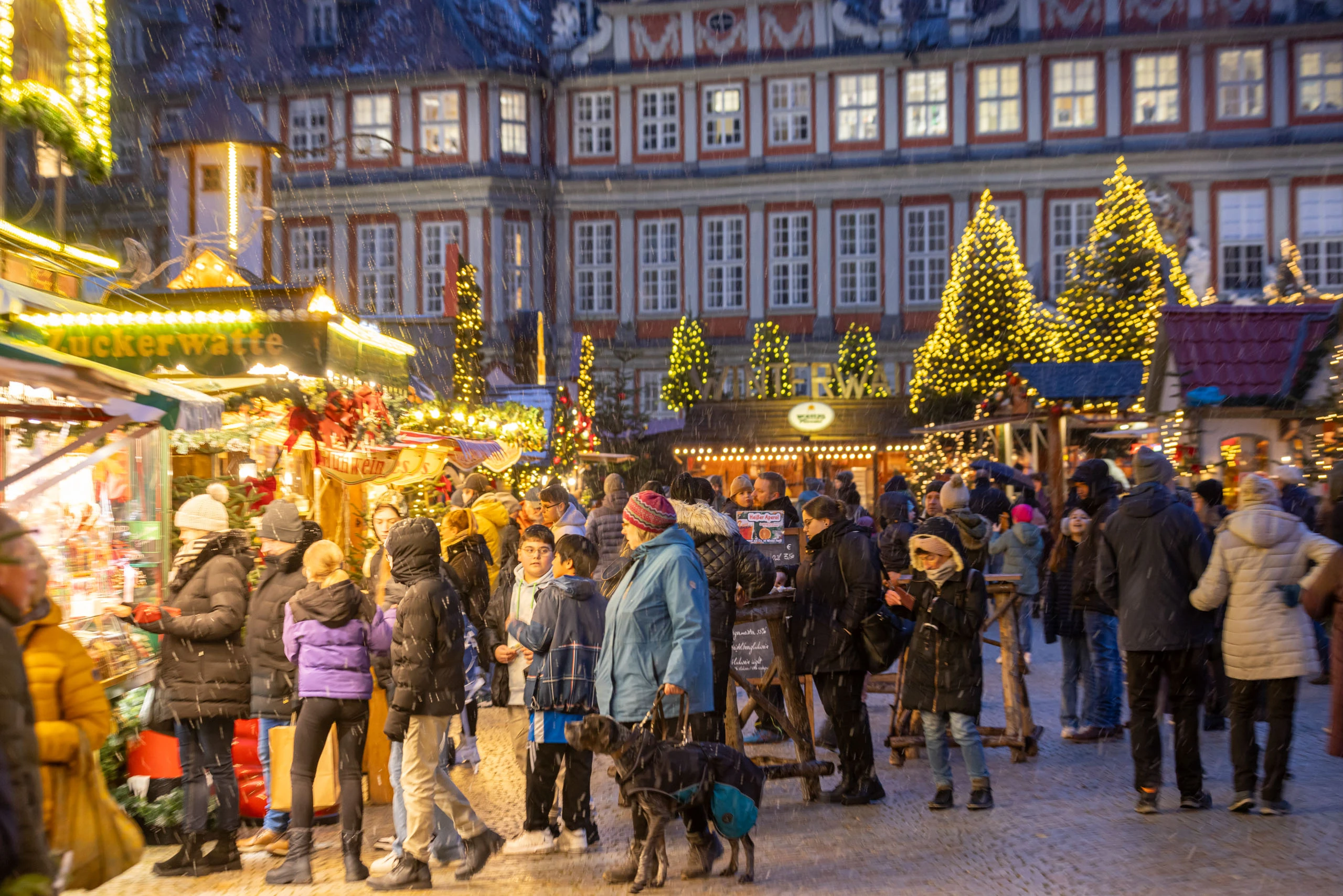 WF-Weihnachtsmarkt-12.jpg
