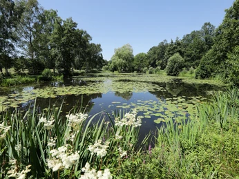 029HR - Herbstein - Seerosenteich.JPG