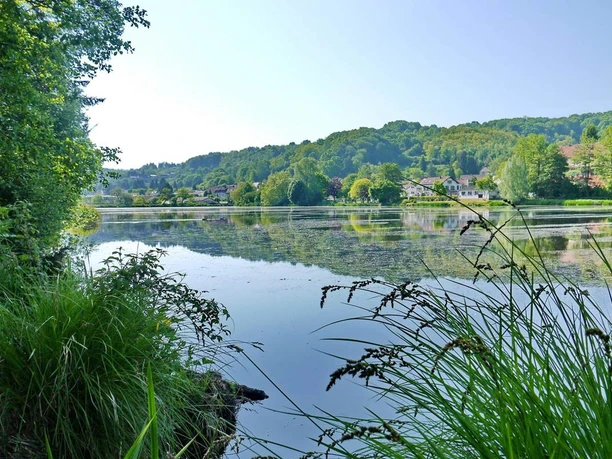 Würzbacher Weiher mit Blick auf Anglerheim