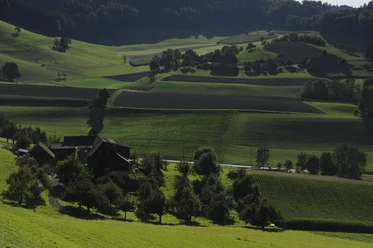 Melchnau Landwirtschaft