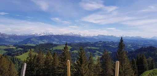 Napfwanderrung