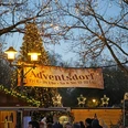 Markt-im-Advent-Adventsdorf-Banner-Eingang.jpg Eingang des Adventsdorfes in Bad Zwischenahn mit beleuchtetem Weihnachtsbaum und Besucherandrang.