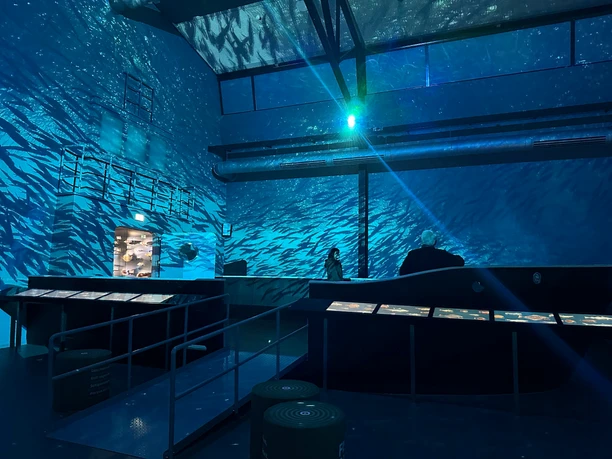 Fischbahnhof360° IMG_8310 (c) Mailin Knoke_Erlebnis Bremerhaven.jpg Besucher betrachten eine immersive Lichtprojektion mit schwimmenden Fischen im Raum des Fischbahnhofs.