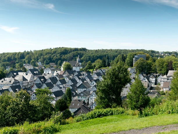 Fotoblick "Alter Flecken"