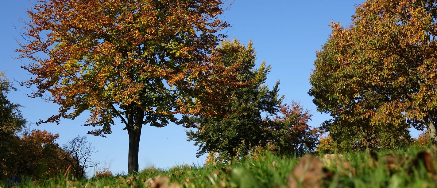 Herbstliche Impressionen