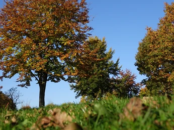 Herbstliche Impressionen