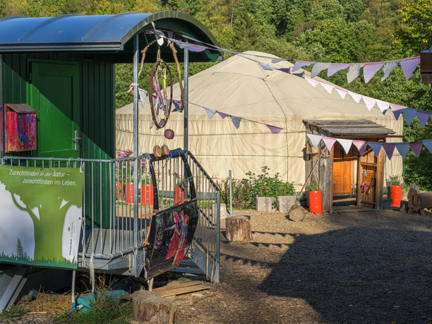 Naturerfahrungszentrum Waldritter Freudenberg Naturerfahrungszentrum Waldritter