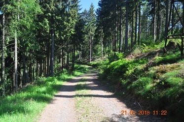 Wegeführung