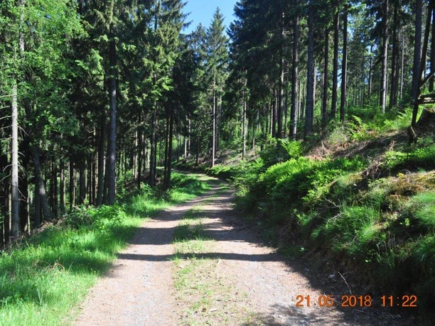 Wegeführung