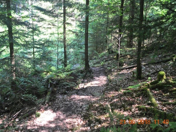 Wegeführung