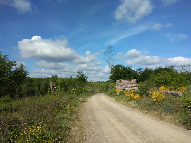 Ameisenweg vor Mausbach