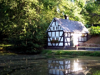 Alter Backes am Pfarrweiher Oberholzklau