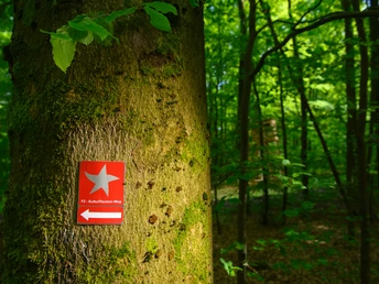 KPK1147418.jpg KPK1147418.jpg