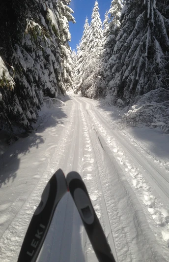 Dreiherrensteinloipe