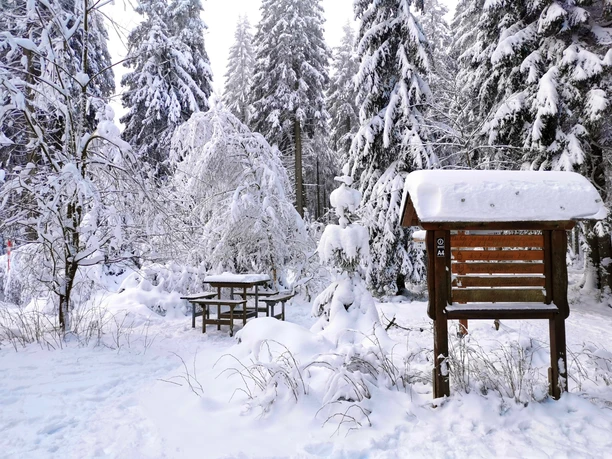 Rastplatz am Dreiherrenstein