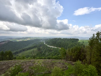 Ausblick vom Gillerturm in Hilchenbach-Lützel