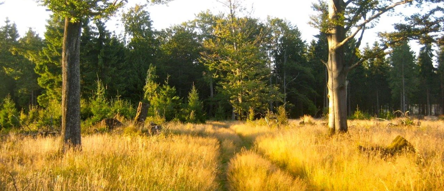 In der Nähe des Ederkopfs