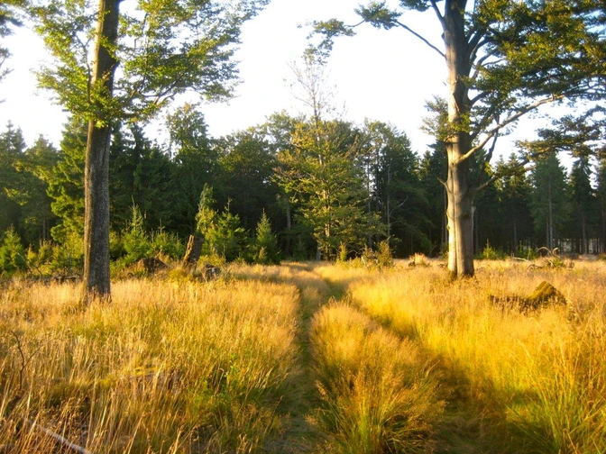 In der Nähe des Ederkopfs