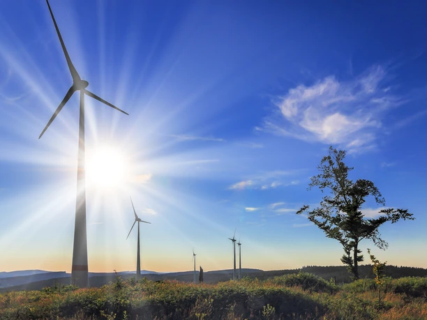 Blick von "Drei Buchen" (Foto: Rolf Klein)