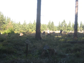 Riemen - höchster Berg des Siegerlands