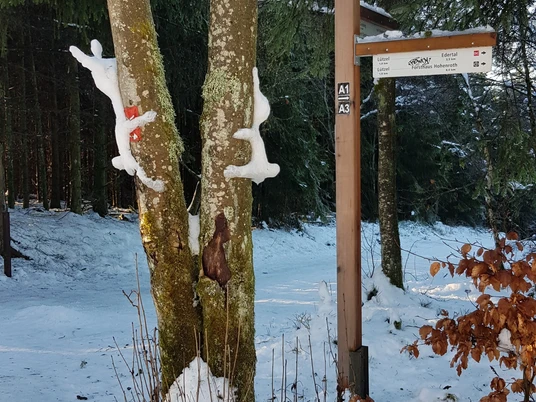 Start Rodelbahn am Rothaarsteig Giller