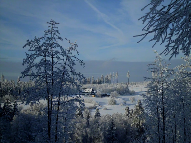 Blick auf die Ginsberger Heide