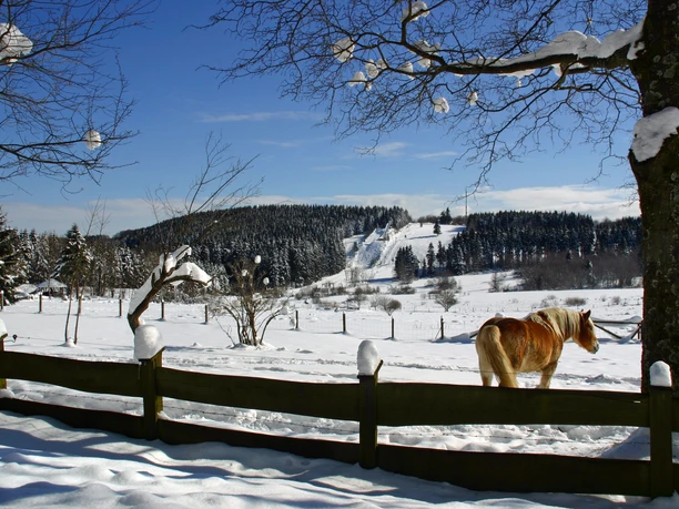 Blick auf die Ginsberger Heide