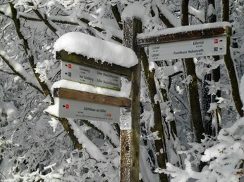 Winter am Rothaarsteig