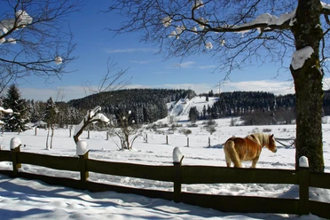 Winterlandschaft