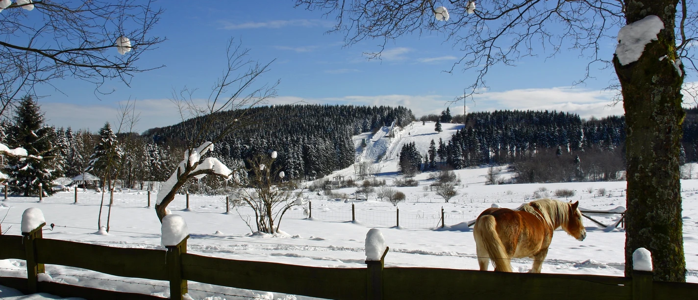 Winterlandschaft