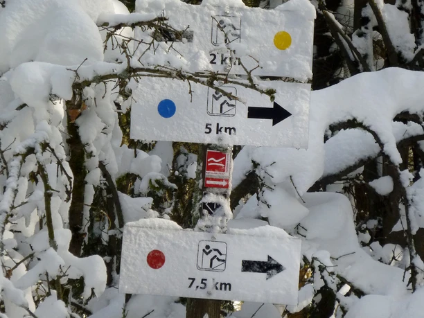 Ski-Loipe Lützel
