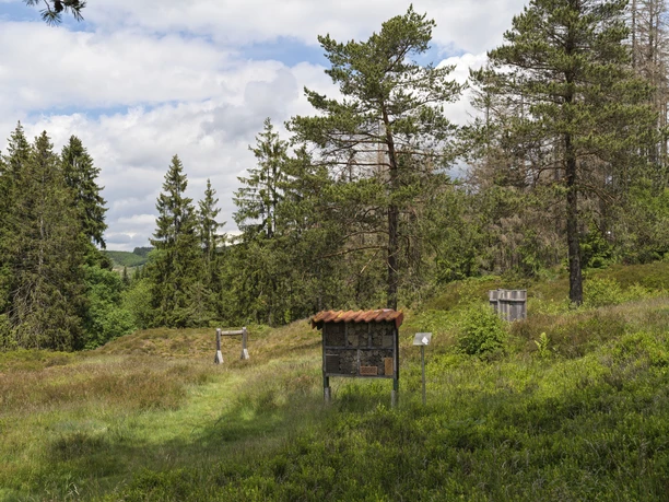 Mittelalterliche Bergbausiedlung Altenberg Littfelder Grubengelände, Kreuztal
