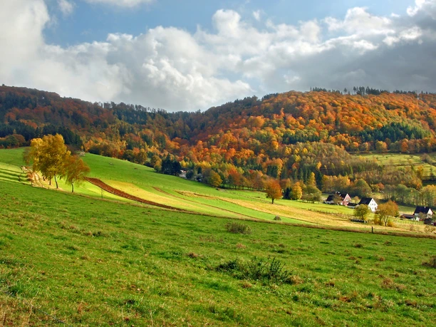 Blick über Vormwald