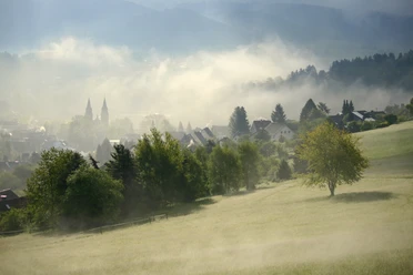 Wiesen an der Sang